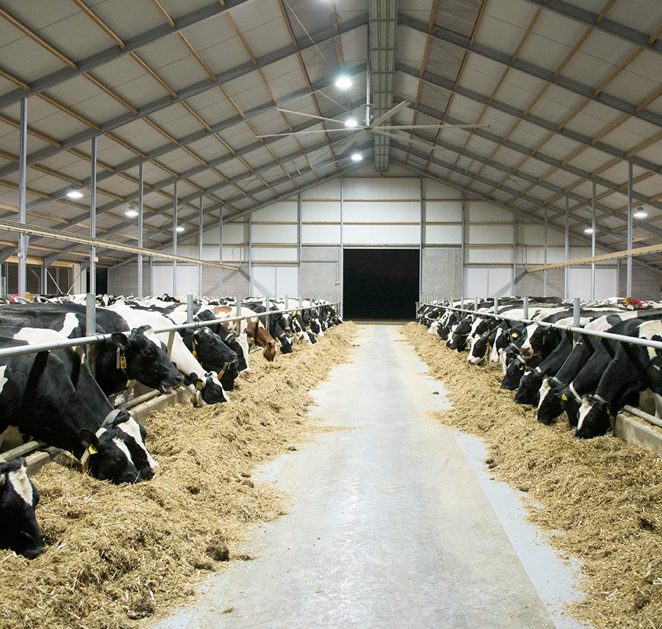 Eco-line3 LED en inductie verlichting