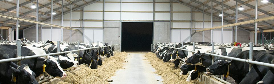 Eco-line3 LED en inductie verlichting