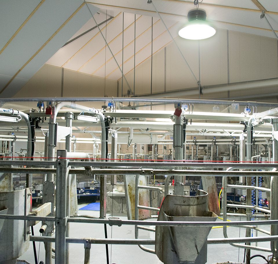 Eco-line3 LED en inductie verlichting