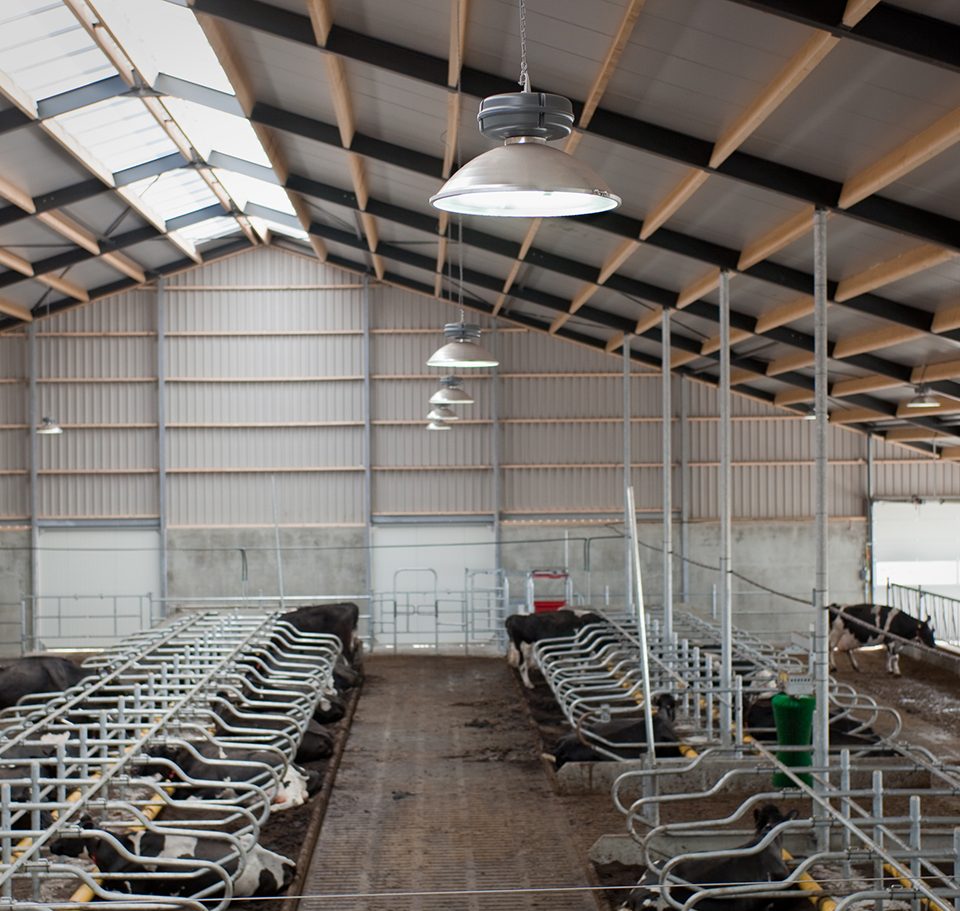 Eco-line3 LED en inductie verlichting
