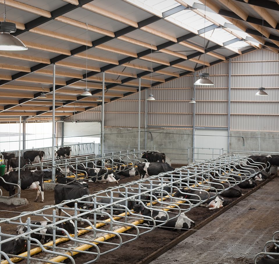 Eco-line3 LED en inductie verlichting